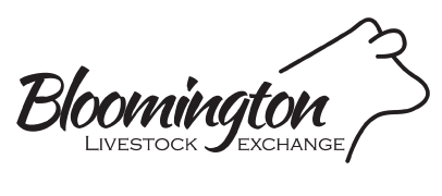 Bloomington-Logo