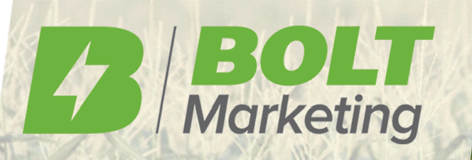Bolt-Marketing-Logo-only