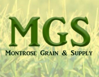 MGS-Logo