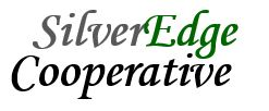 Silver-Edge-Logo