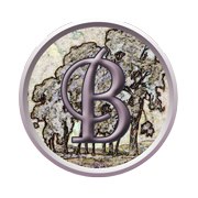 burling-game-logo