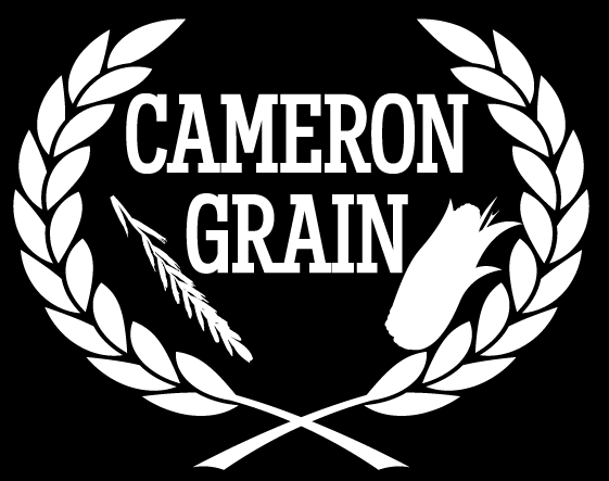 cameron-logo