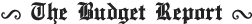 the-budget-report-logo